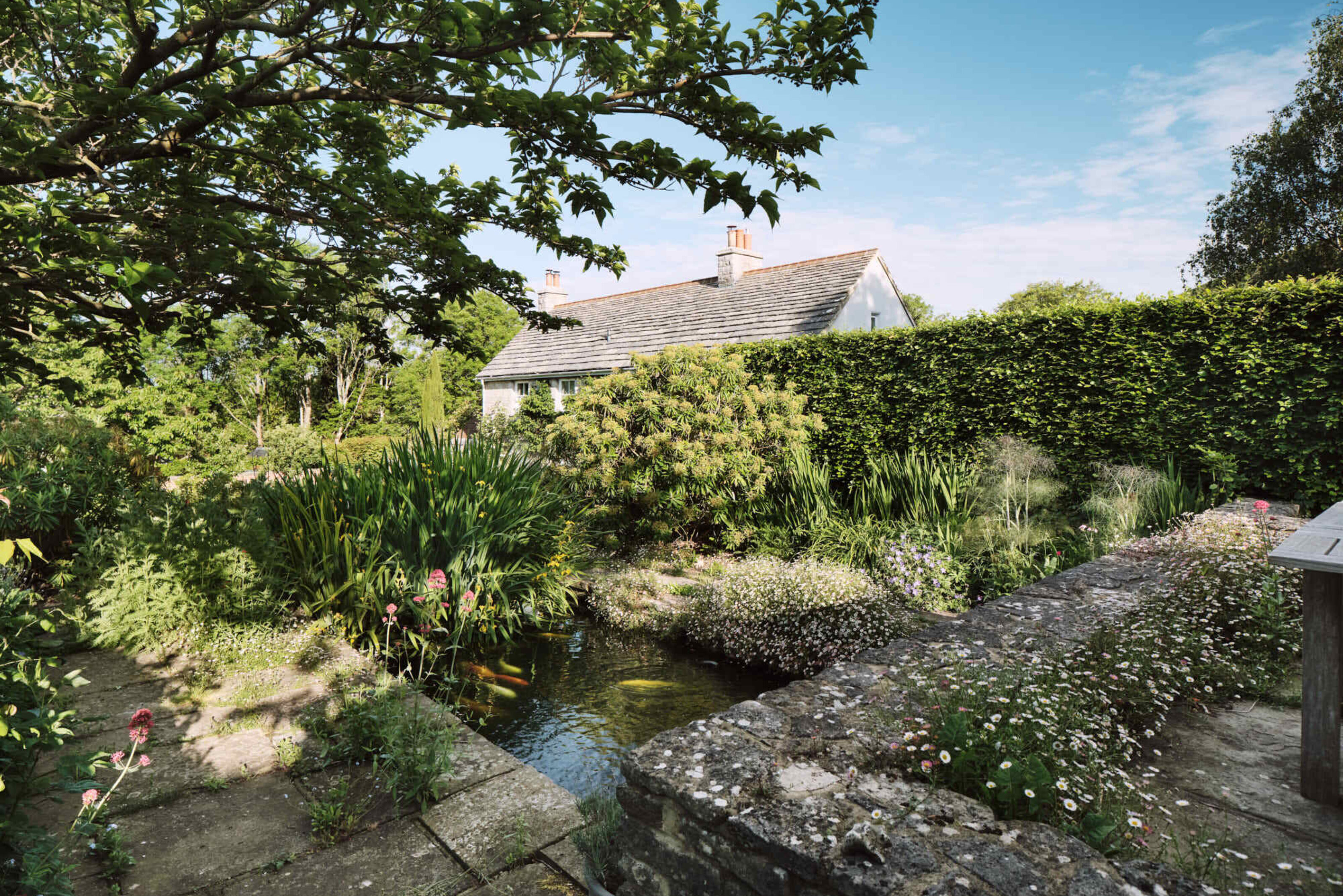 View across the landscaped garden and wildlife pond at Corfe Castle House, framed by mature trees, flowering plants and clipped hedging.