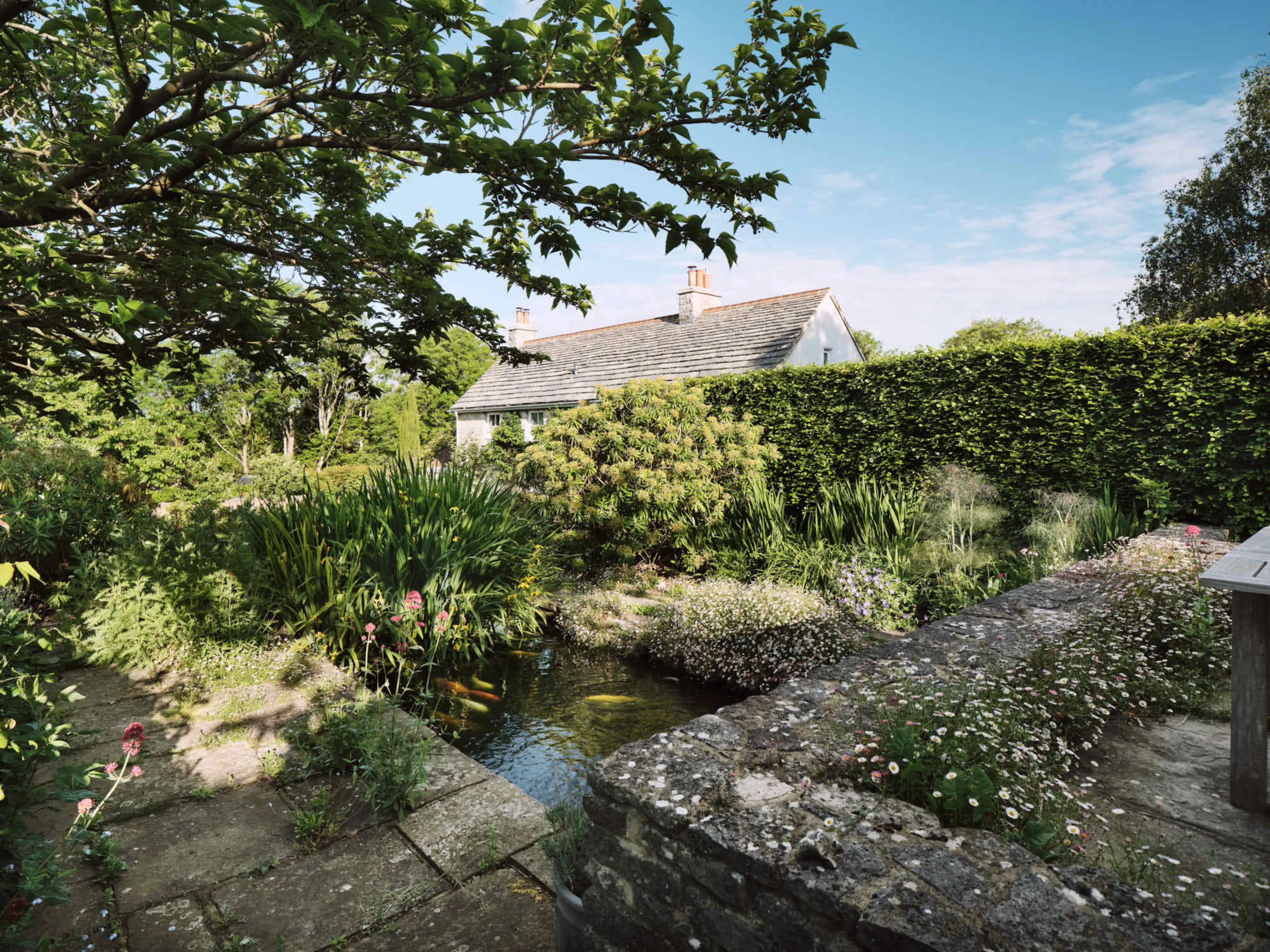 View across the landscaped garden and wildlife pond at Corfe Castle House, framed by mature trees, flowering plants and clipped hedging.