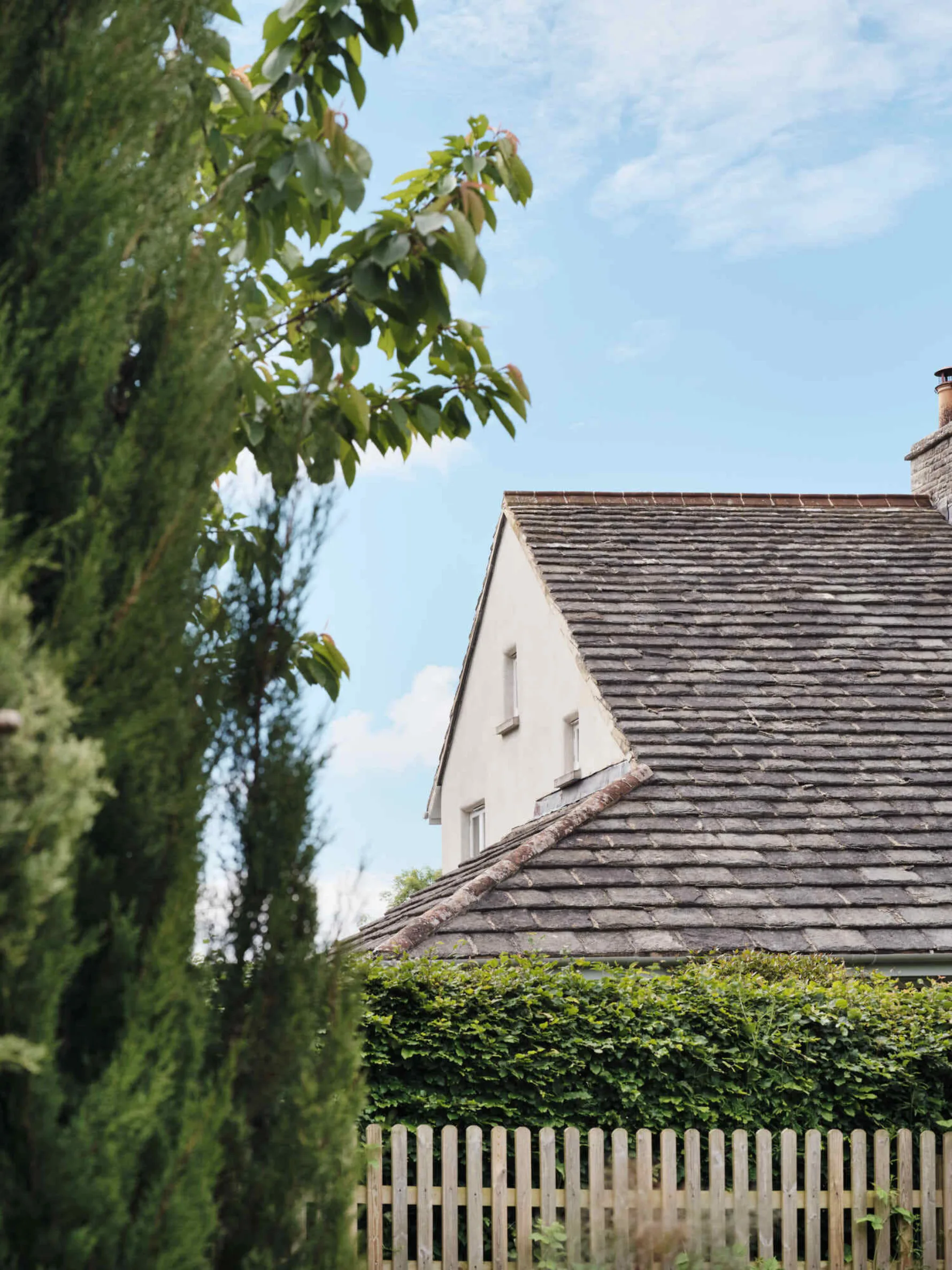 View of Corfe Castle House roofscape framed by mature trees, clipped hedging and a timber picket fence within the garden setting.