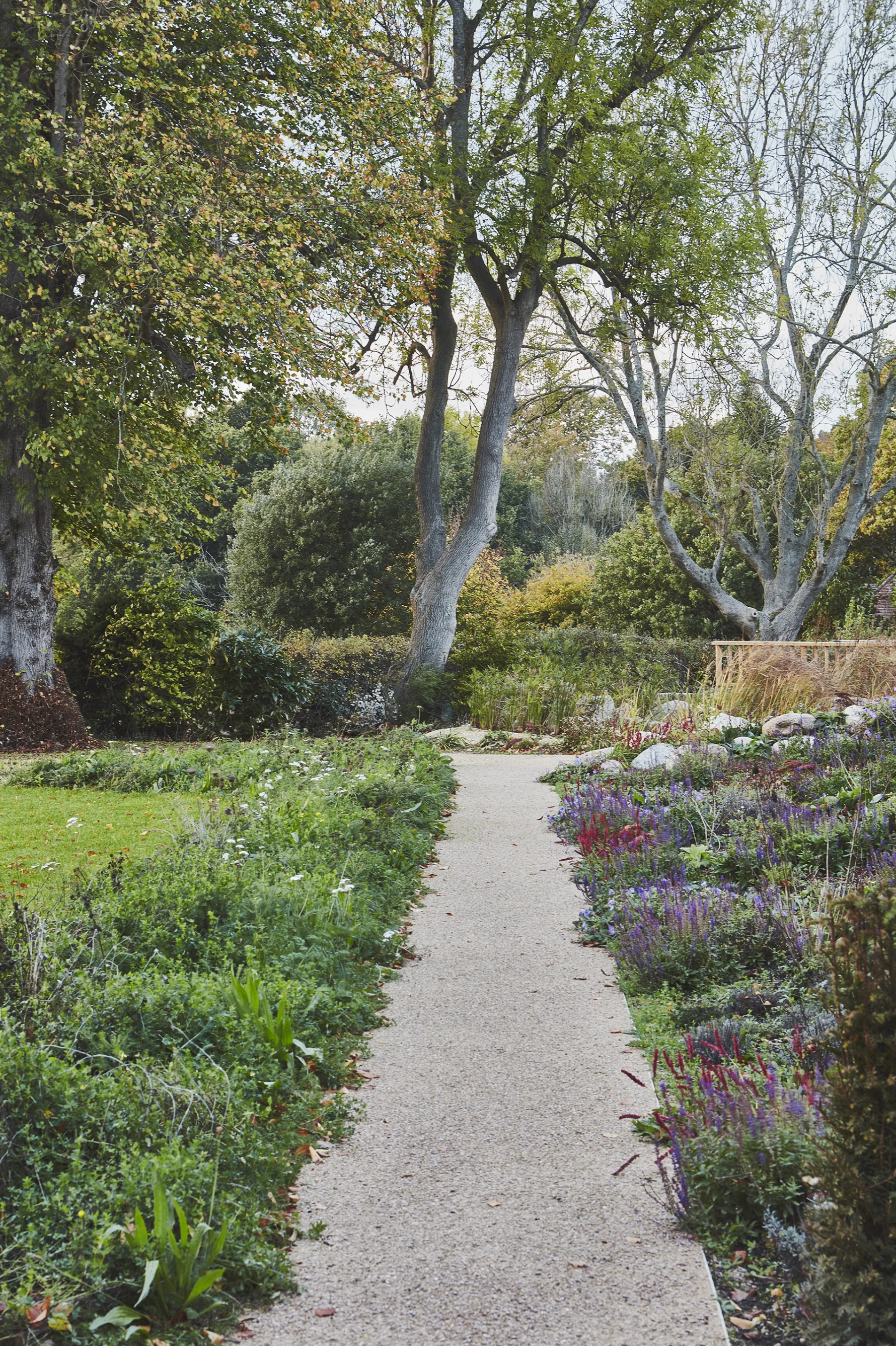 Gravel garden path winding through naturalistic planting and mature trees at Westerham House.
